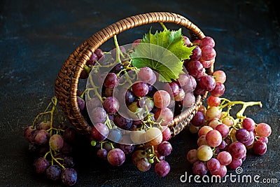 Grapes Stock Photo