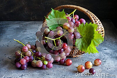 Grapes Stock Photo