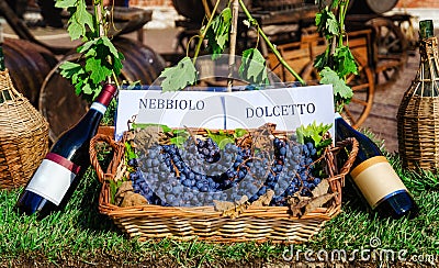 Grapes and bottles of Nebbiolo and Dolcetto Stock Photo