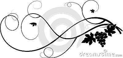 Grapes Vector Illustration