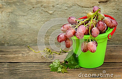 Grapes in a children's plastic bucket Stock Photo