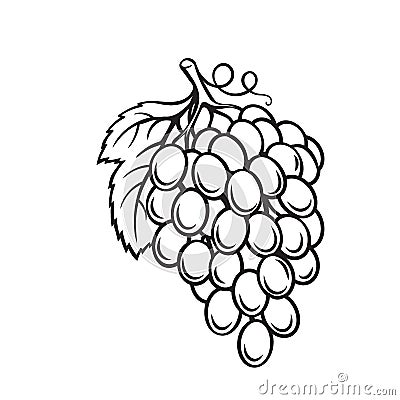 Grapes fruit berry outline icon Vector Illustration