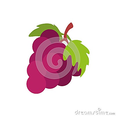 Grapes fruits flat style icon Vector Illustration