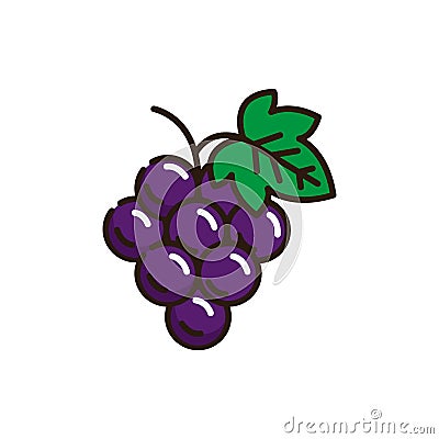 Isolated grapes icon fill vector design Vector Illustration