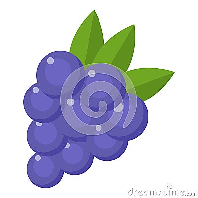 Grapes icon, flat style Vector Illustration
