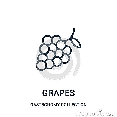 grapes icon vector from gastronomy collection collection. Thin line grapes outline icon vector illustration Vector Illustration