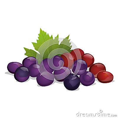 Grapes Vector Illustration