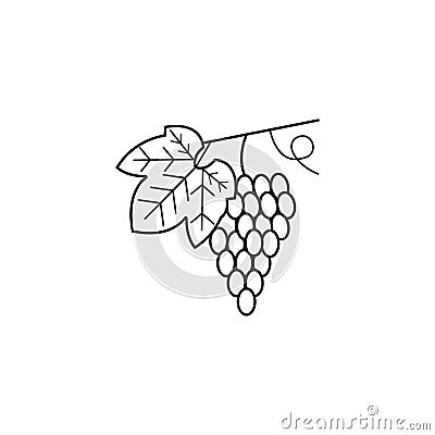 Grapes line icon, healthy fruit, vector graphics, Vector Illustration