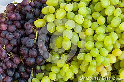 Grapes Stock Photo