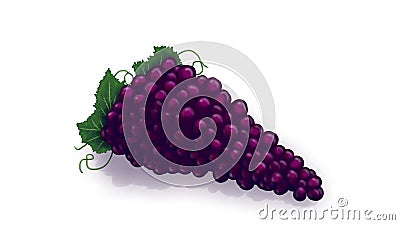 Grapes Stock Photo