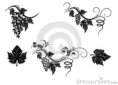 Grapes Vector Illustration