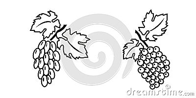 2 grapes 2 Vector Illustration