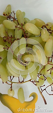 Fruits Stock Photo