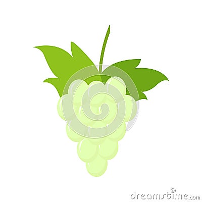 Grapes on white background. Bunch of grapes. Vector illustration. EPS 10 Vector Illustration