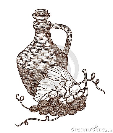 Grapes and wicker jug of wine, winemaking industry, isolated sketch Vector Illustration