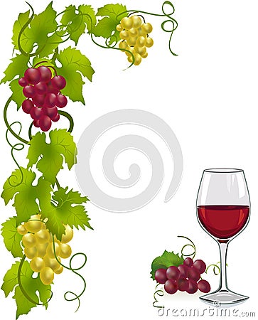 Grapevine and wine glass Vector Illustration