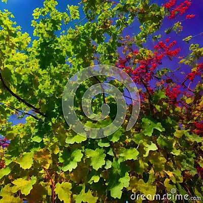 Grapevines isolated on transparent background - Generative AI Stock Photo