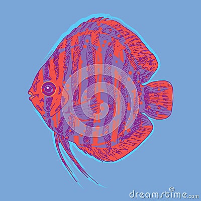 Graphic Aquarium Fish Concept Vector Illustration