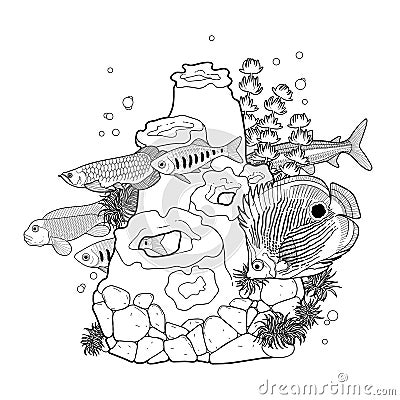 Graphic aquarium fish with coral reef Vector Illustration