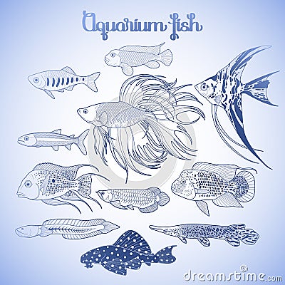 Graphic aquarium fish set Vector Illustration