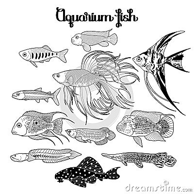 Graphic aquarium fish set Vector Illustration