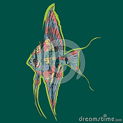 Graphic Aquarium Scalar Or Angelfish Concept Vector Illustration