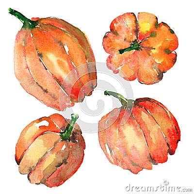 Graphic artistic abstract bright cute autumn ripe tasty colorful halloween four orange pumpkins Cartoon Illustration