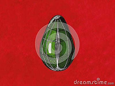 Graphic avocado on a red background Stock Photo