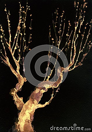 Graphic backdrop. Bare branches of an old tree Stock Photo