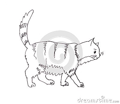 Graphic black and white drawing of a thick striped cat goes with a raised tail Cartoon Illustration