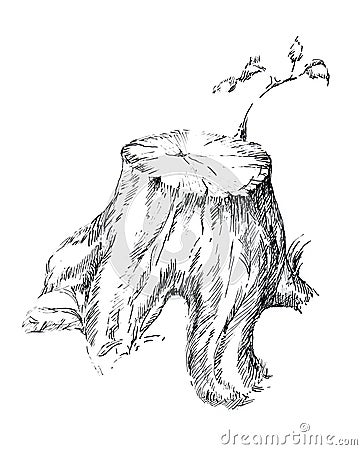 Sprout from the stump graphic illustration Cartoon Illustration