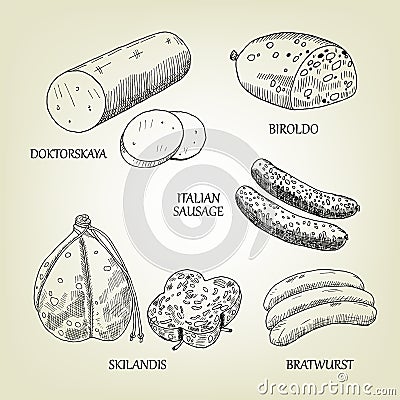 Graphic collection of sausages, skilandis, biroldo, bratwurst, doktorskaya and italian frankfurters. Vector Illustration