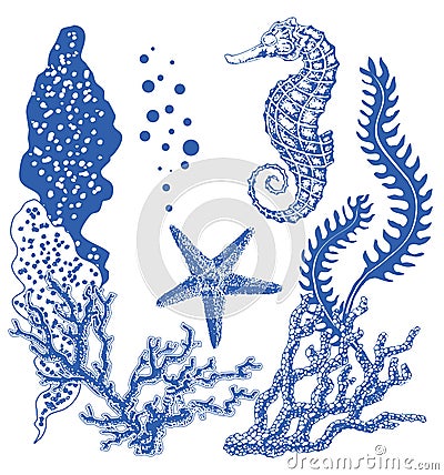 Graphic coral reef with sea horse, sea star, starfish, seaweed, corals, under sea theme, set of elements for marine Vector Illustration
