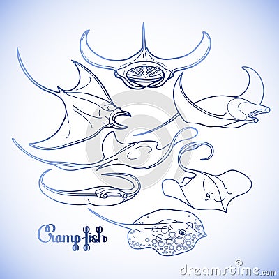 Graphic cramp fish collection Vector Illustration