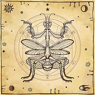 Graphic decorative image of the Mantis. Alchemical circle of transformations. Esoteric, Mysticism, Sorcery. Vector Illustration