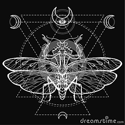 Graphic decorative image of the Mantis. Sacred geometry. Esoteric, Mysticism, Sorcery. Vector Illustration