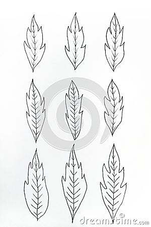 Drawing handmade of nine leaves in black ink on white Stock Photo