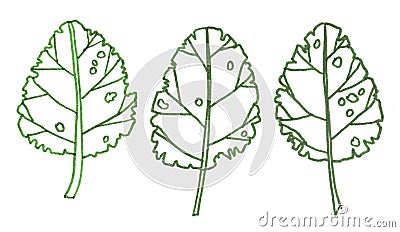 Graphic drawing of a set of green contour monochrome leaves Stock Photo