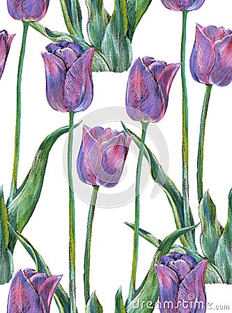 Graphic flowers blue tulip on a white background. Floral seamless pattern. Stock Photo
