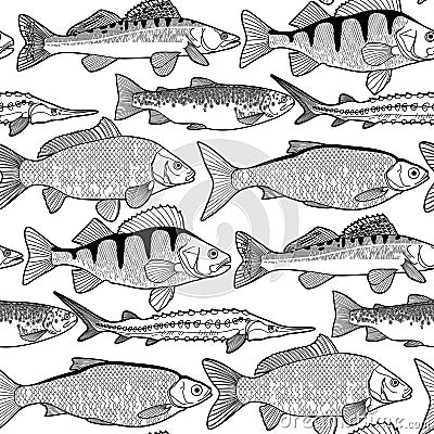 Graphic freshwater fish pattern Vector Illustration