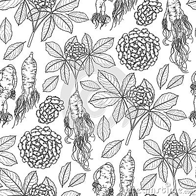 Graphic ginseng pattern Vector Illustration