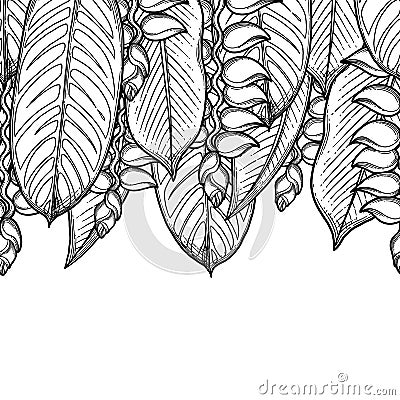 Graphic heliconia design Vector Illustration