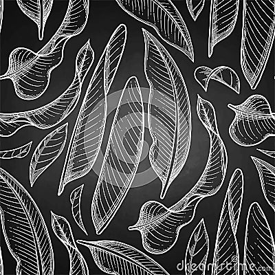 Graphic heliconia pattern Vector Illustration