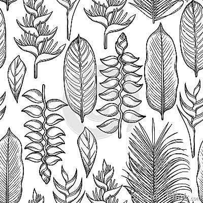 Graphic heliconia pattern Vector Illustration