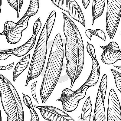 Graphic heliconia pattern Vector Illustration