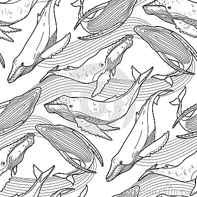 Graphic humpback whale pattern Vector Illustration