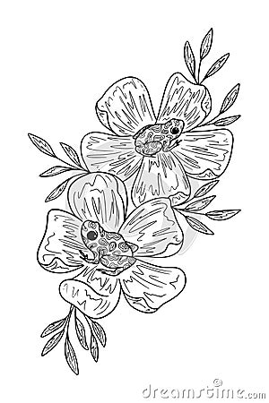 Graphic illustration of a flower and frog line. art sketch for tattoo Cartoon Illustration