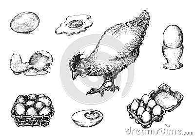 Graphic illustrations of poultry farm goods in vector. Hand drawn set of hennery production in engraving style. Vector Illustration