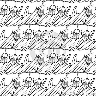 Graphic jojoba pattern Vector Illustration