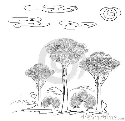 Graphic landscape, trees and bushes Vector Illustration